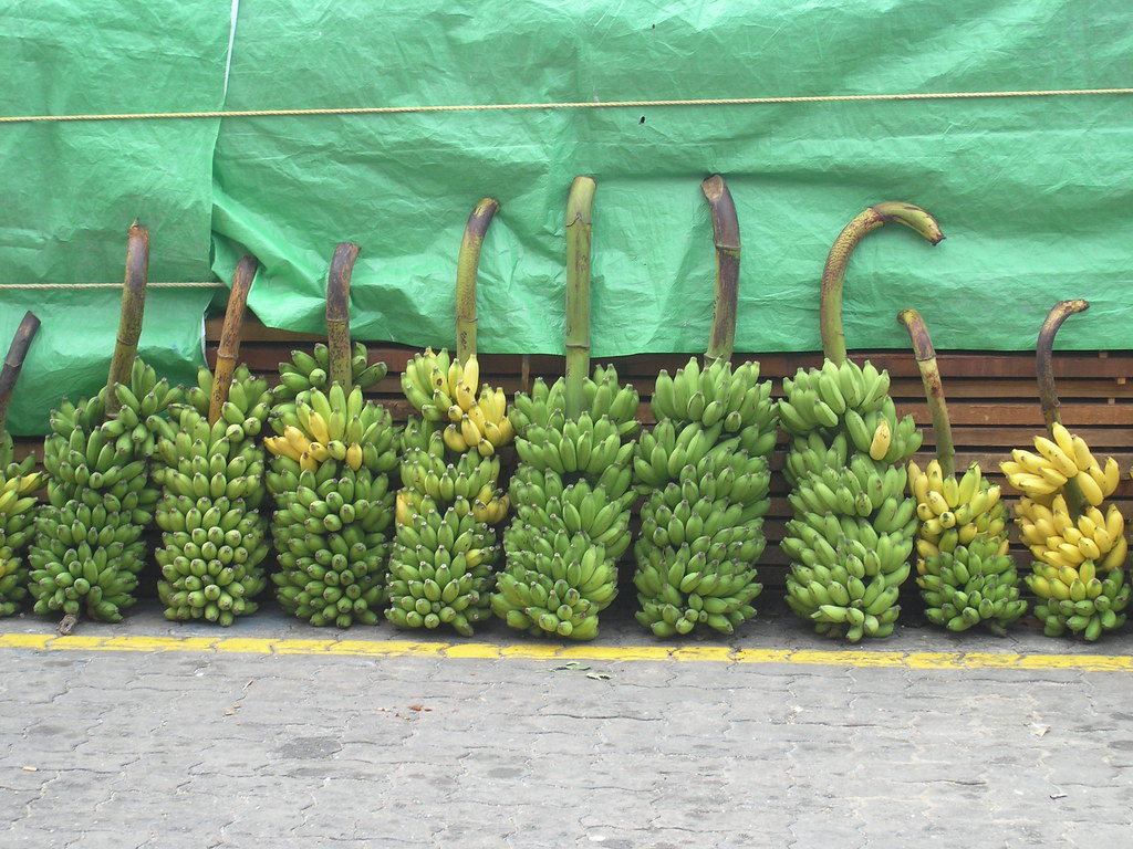 Banana (Kalhu keyo)