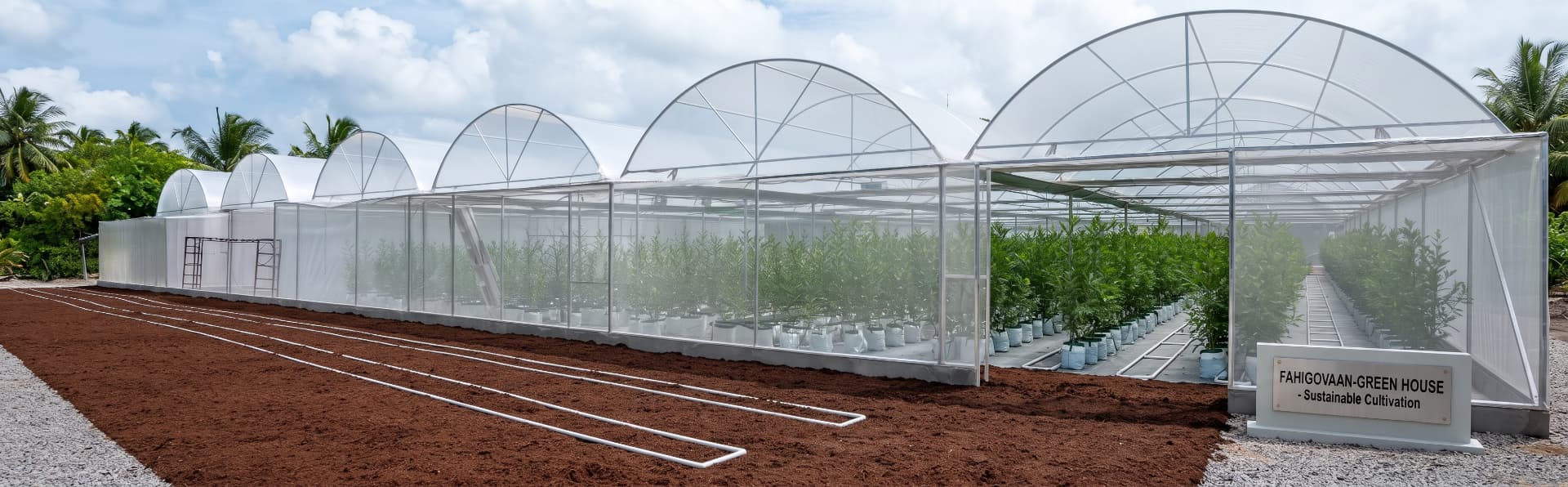Inside the Fahigovaan greenhouse facility in Laamu Atoll, with rows of young crops growing under shade netting